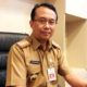 Kepala Dinas Pertanian Provinsi Jawa Timur, Hadi Sulistyo