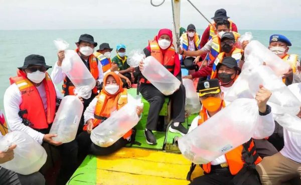 Peringati Puncak Harkannas, Bupati Lamongan Dampingi Gubernur Jatim Tebar Benih Ikan di Perairan Lamongan