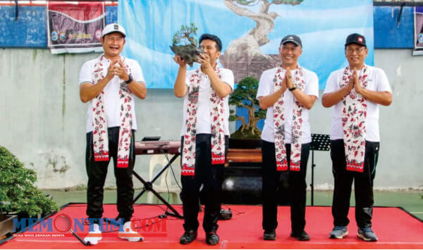 Cianci Senilai Rp 1,5 Miliar Jadi Bonsai Terbaik di Festival Bonsai Lamongan